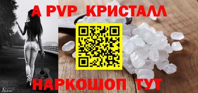 СК Моздок