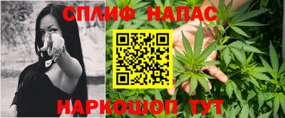 СК Моздок
