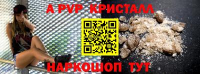 СК Моздок