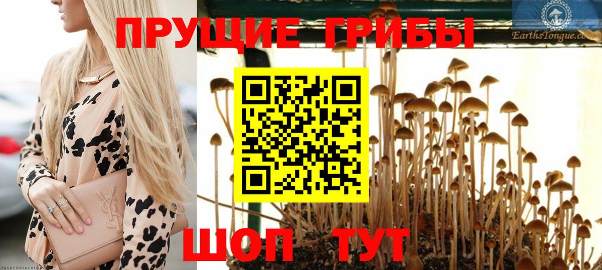 Галлюциногенные грибы мухоморы Йошкар-Ола