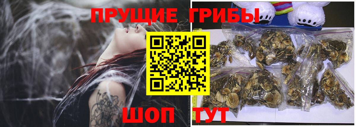 Галлюциногенные грибы Cubensis  Вход с VPN  Йошкар-Ола  Галлюциногенные грибы Cubensis 