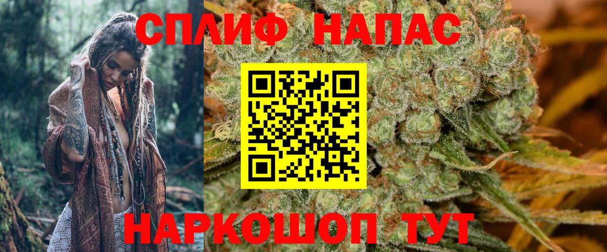 Бошки Шишки план Йошкар-Ола